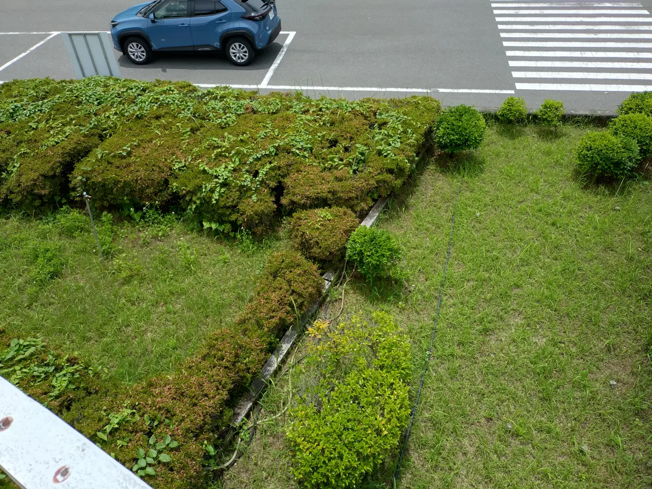 2026-06-08 11:24