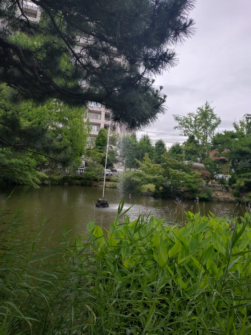 2026-06-08 12:32