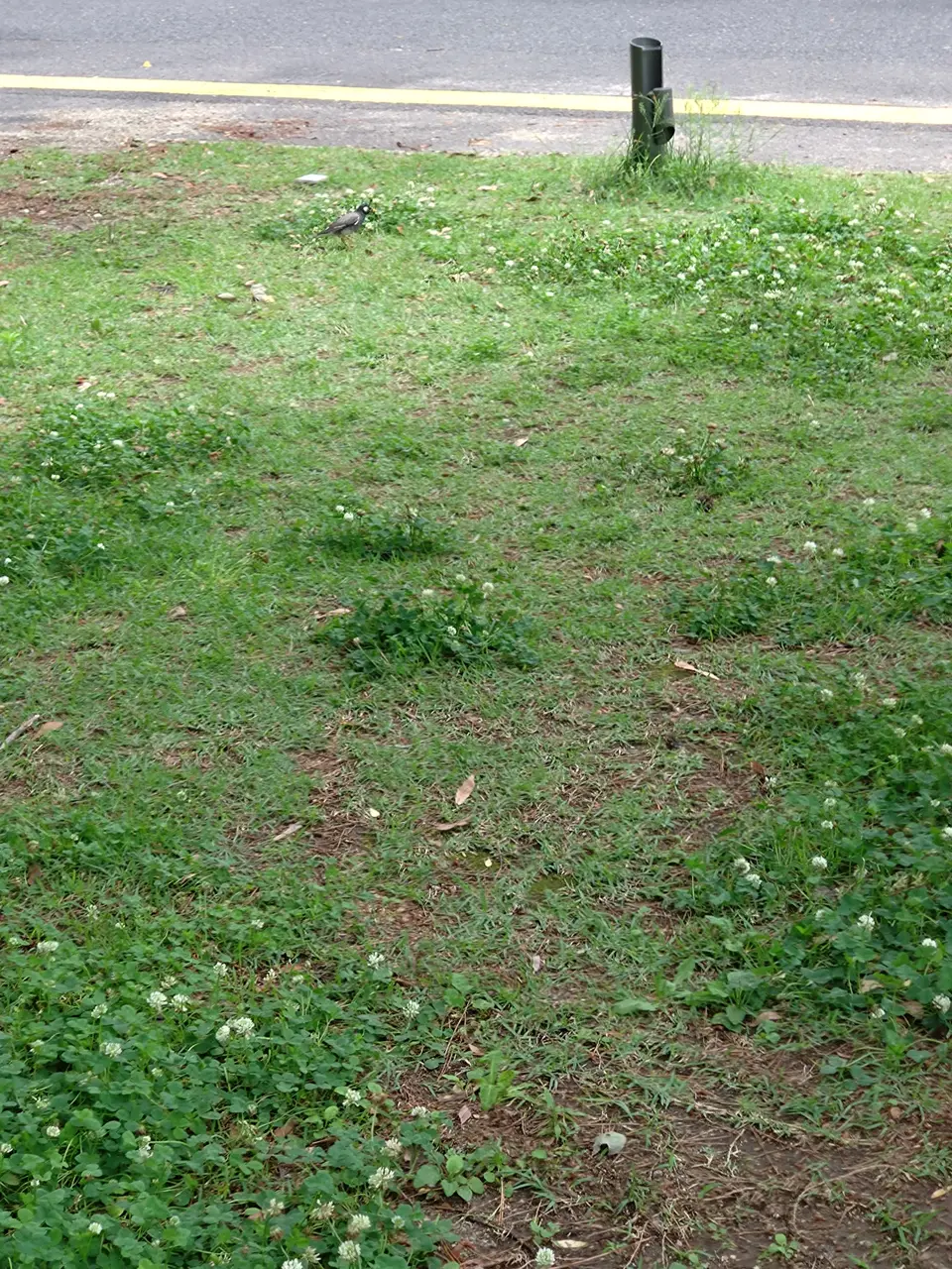2026-06-08 12:35