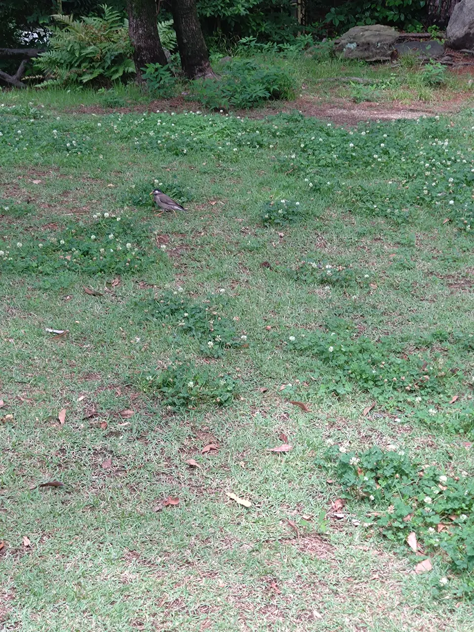 2026-06-08 12:35
