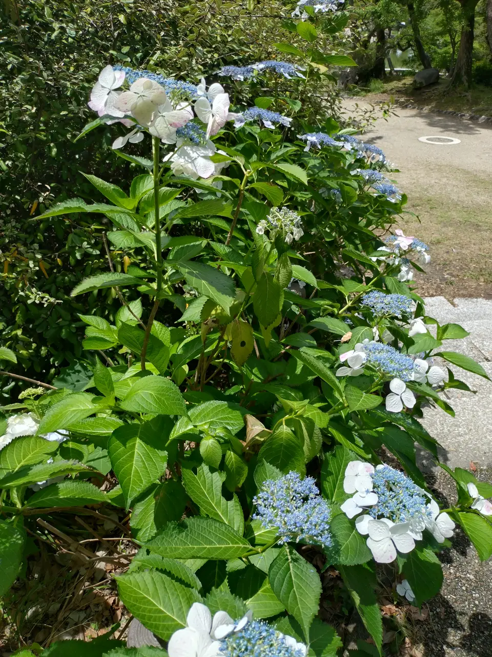 2026-06-08 12:46