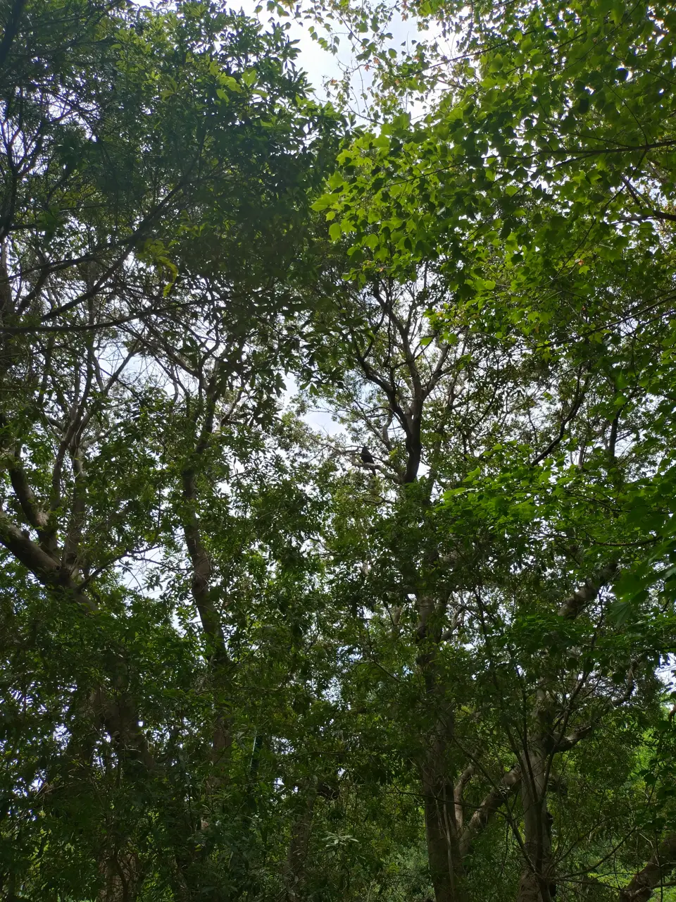 2026-06-08 12:50