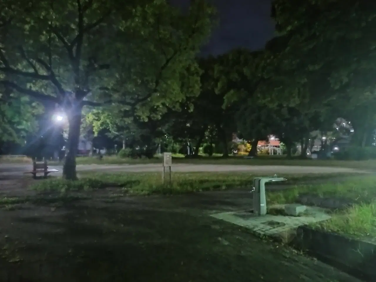 2026-06-22 23:31
