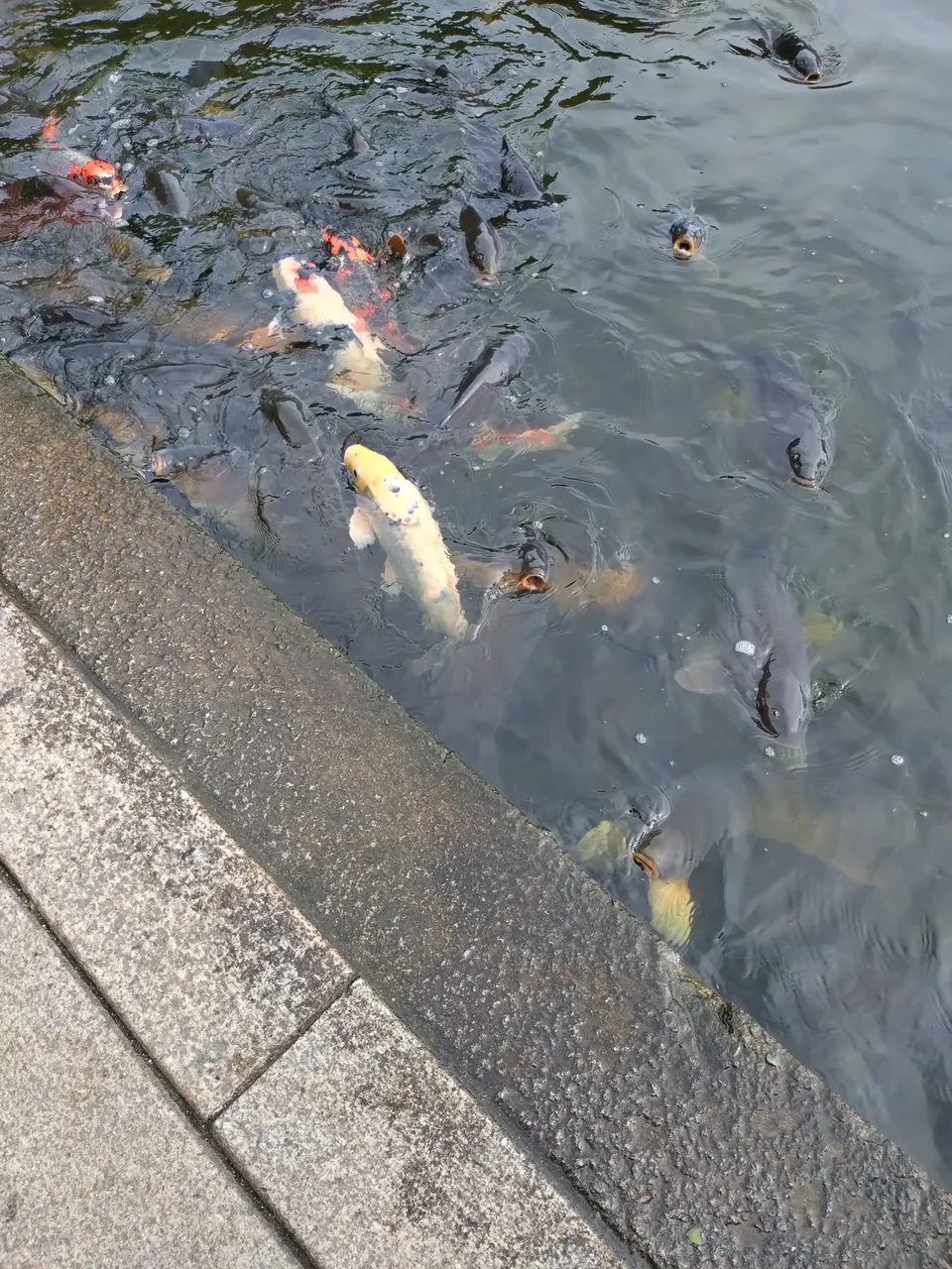 2026-07-11 16:17