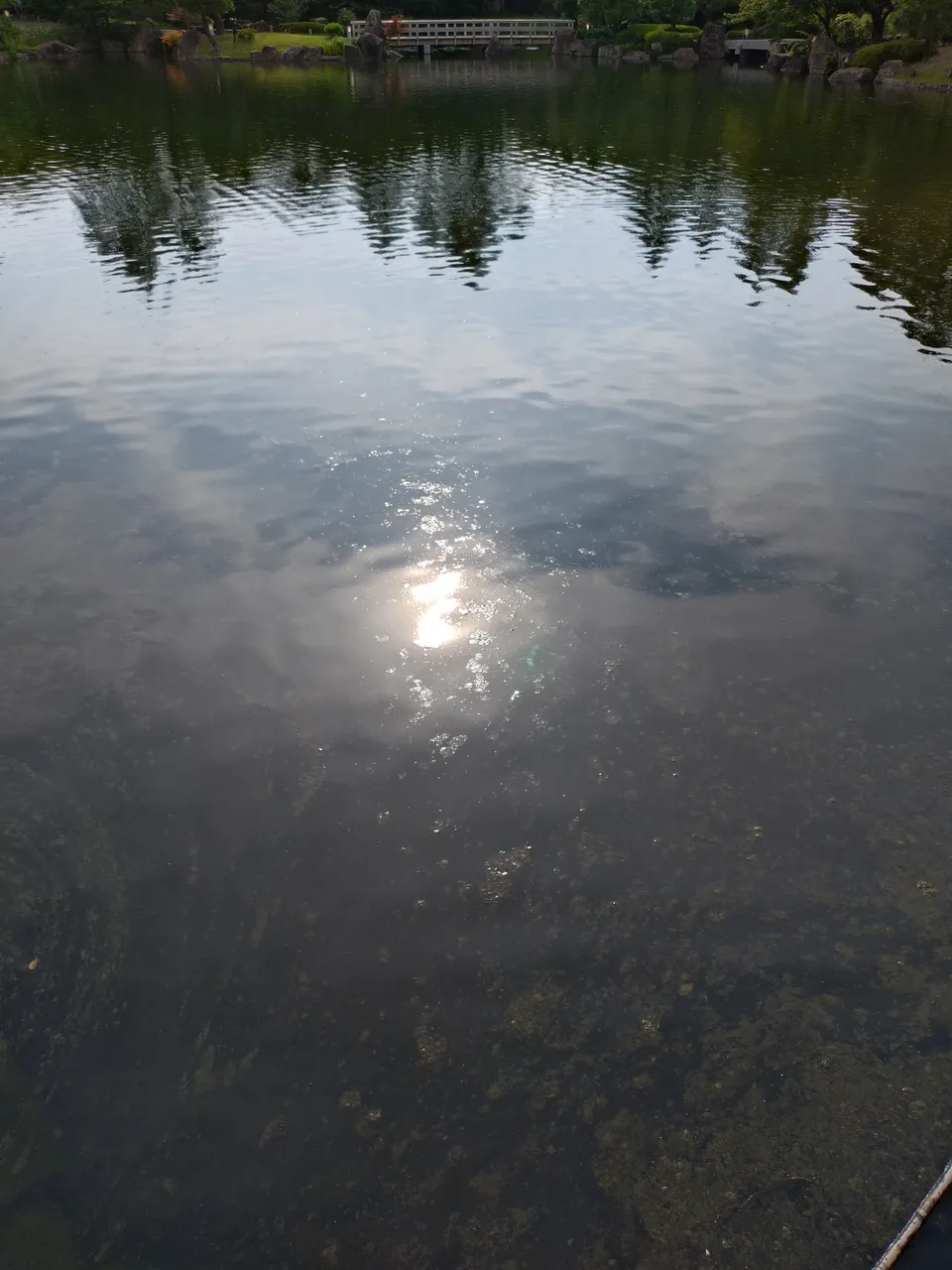 2026-07-11 16:23