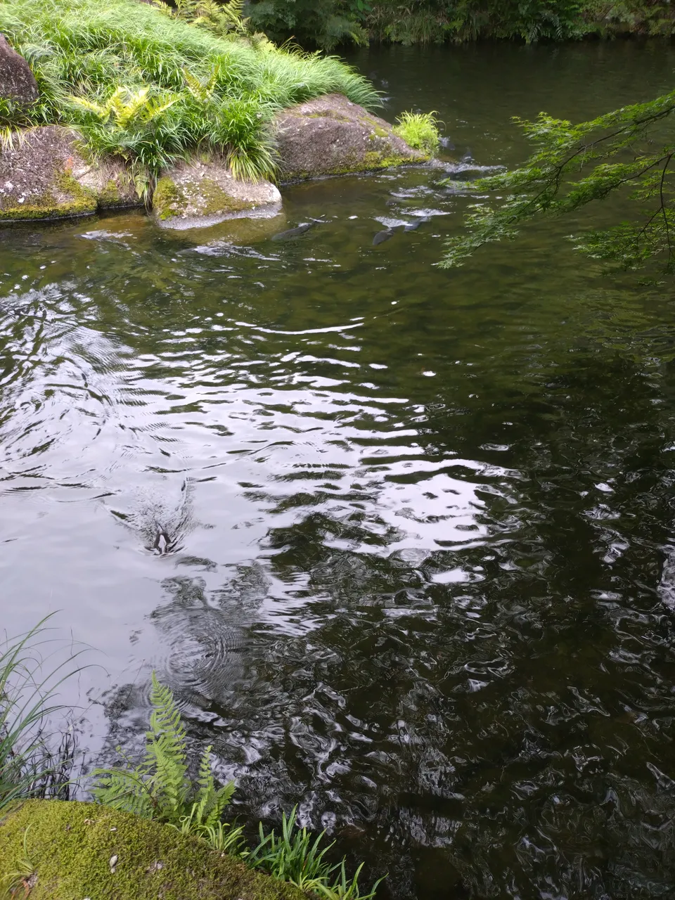 2026-07-11 16:40