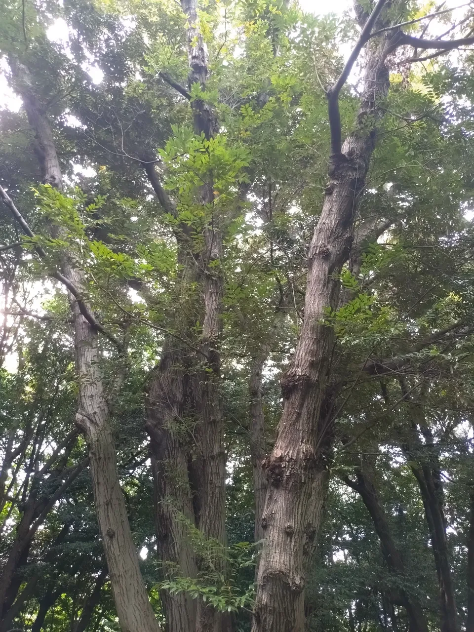 2026-07-11 16:41