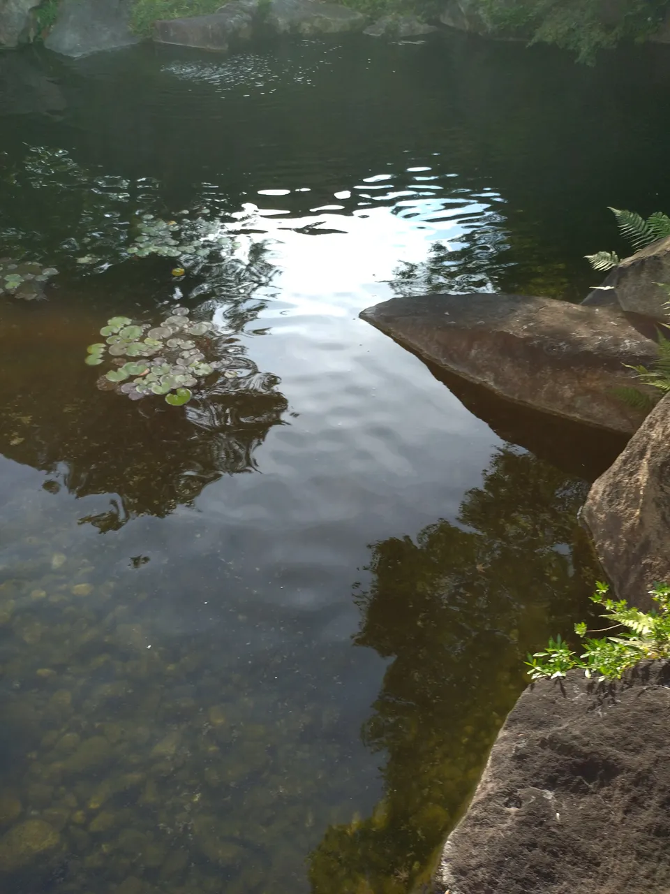 2026-07-11 17:09