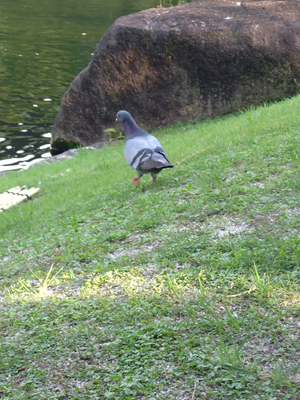 2026-07-11 17:13