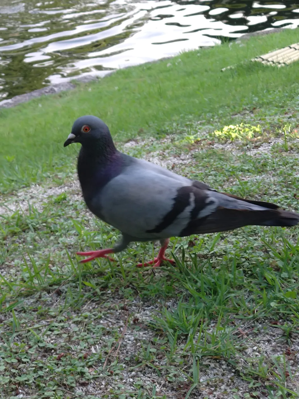 2026-07-11 17:13