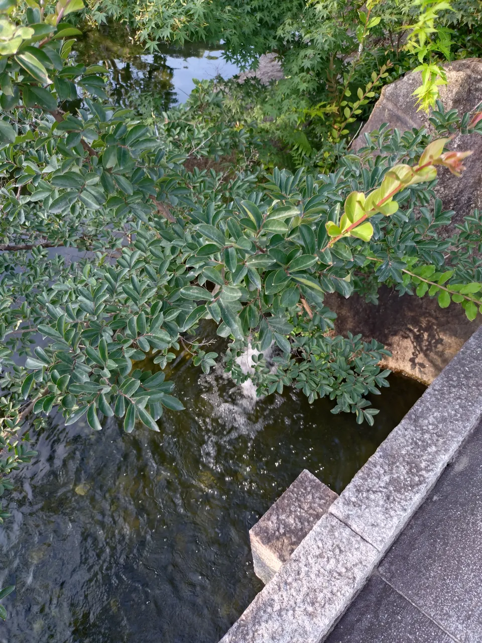 2026-07-11 17:15