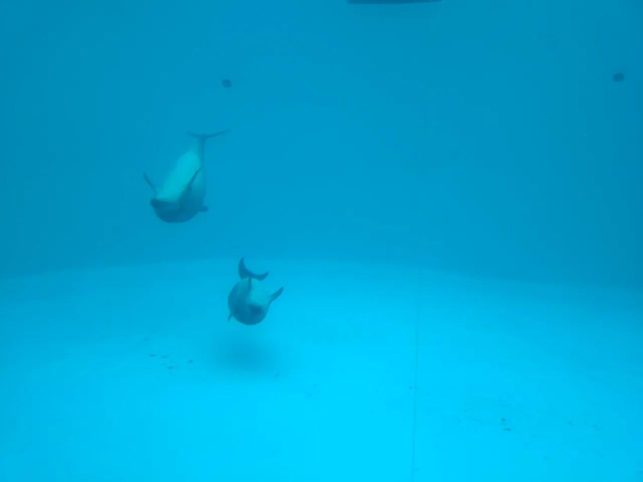 2026-07-12 15:48