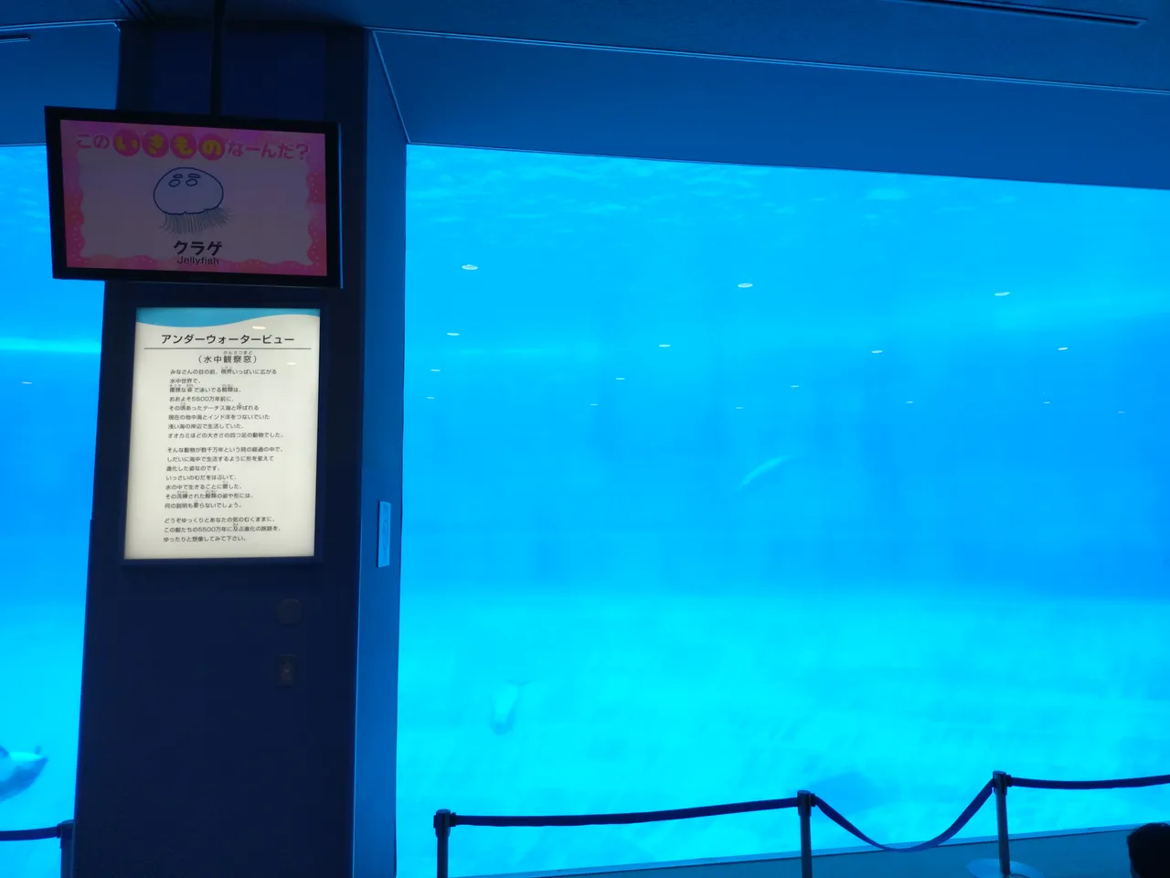 2026-07-12 15:55