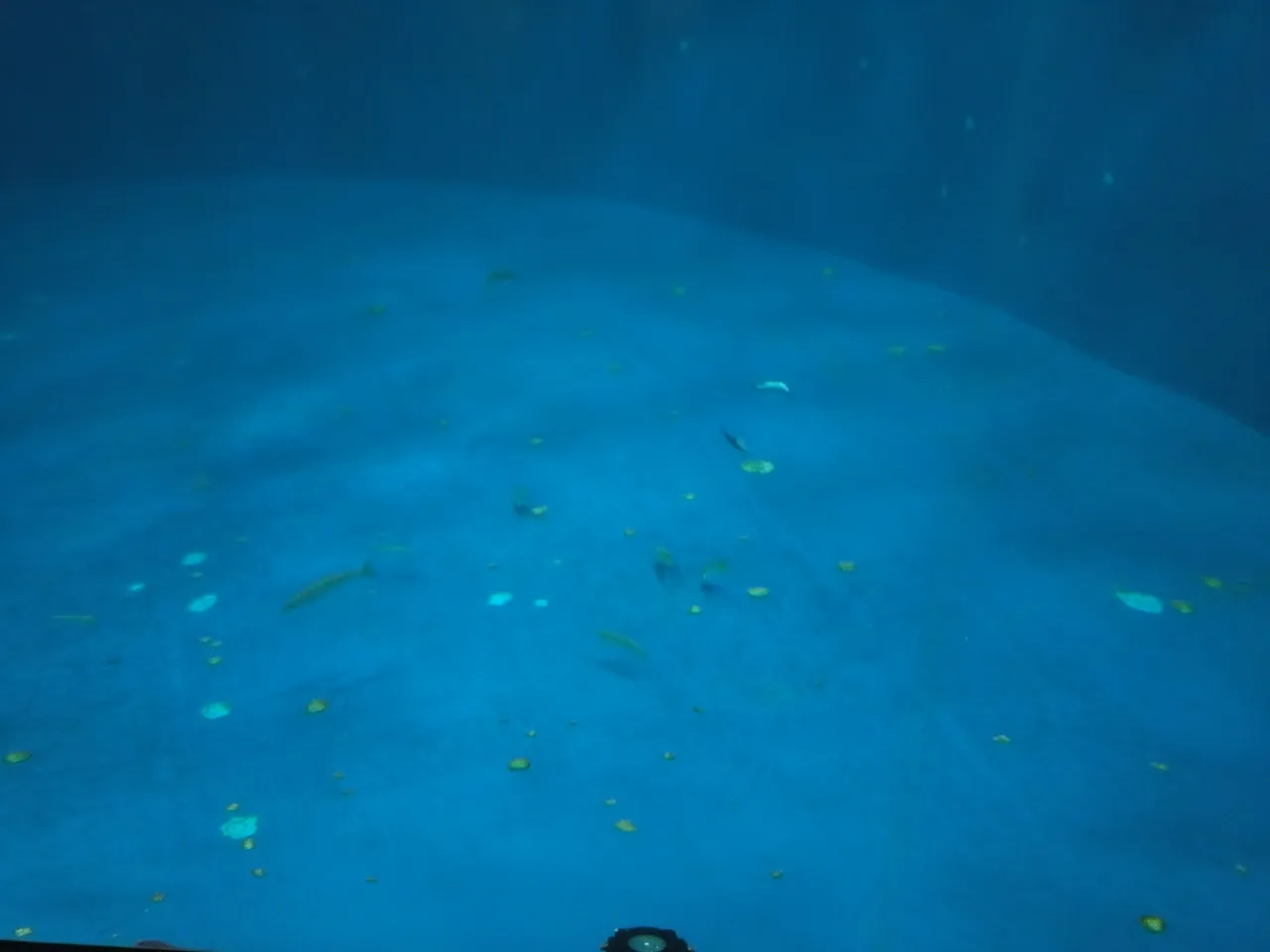 2026-07-12 16:32