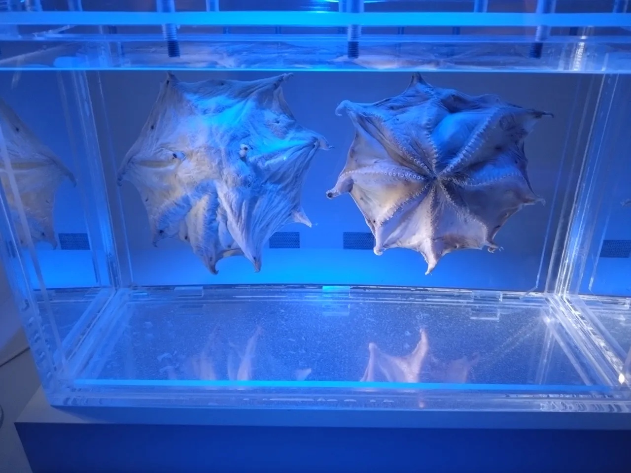 2026-07-12 16:41